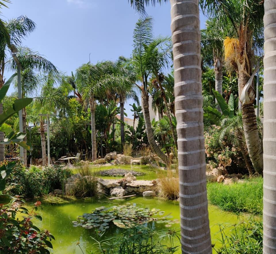 Garden Luxury Apartment 圣纳帕 外观 照片